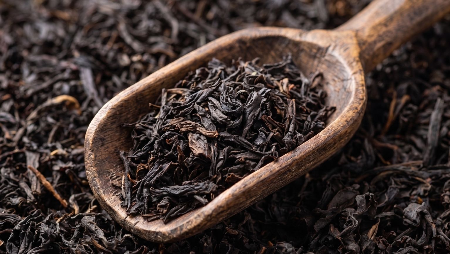Siyah Çay Ekstraktı