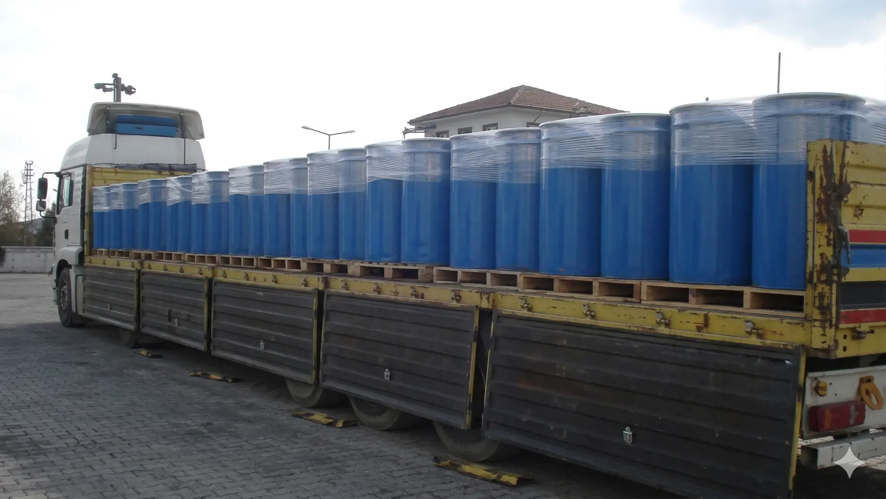 Dünyaya Açılan Yolculuk